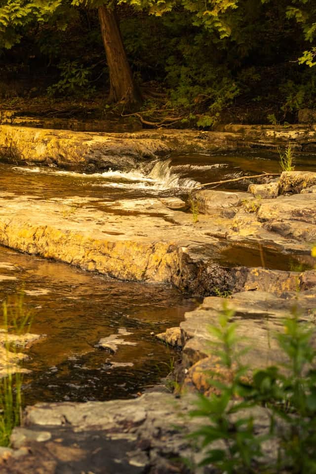 Dismal Falls