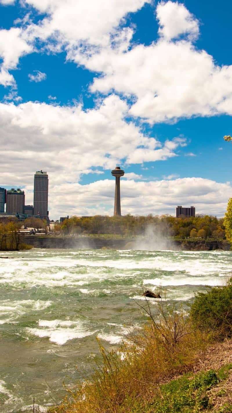 Niagara River Rapids and Skylon Tower View - Image 1