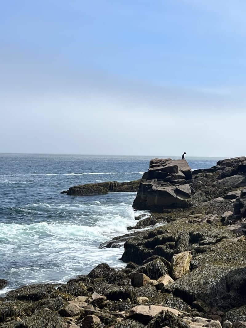 Bar Harbor Shore Path - Image 1