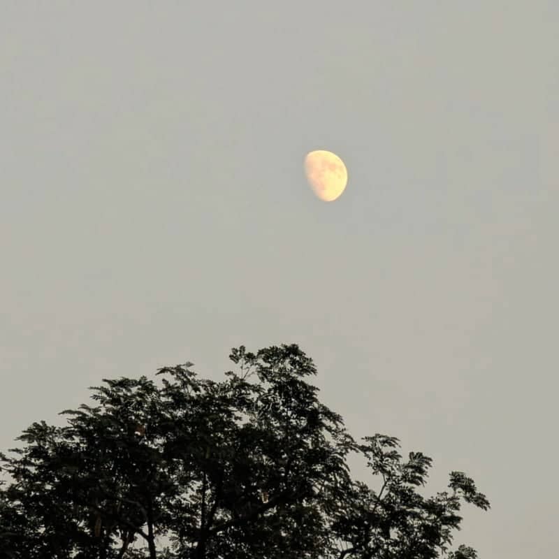 Kharar Moonrise View - Image 1