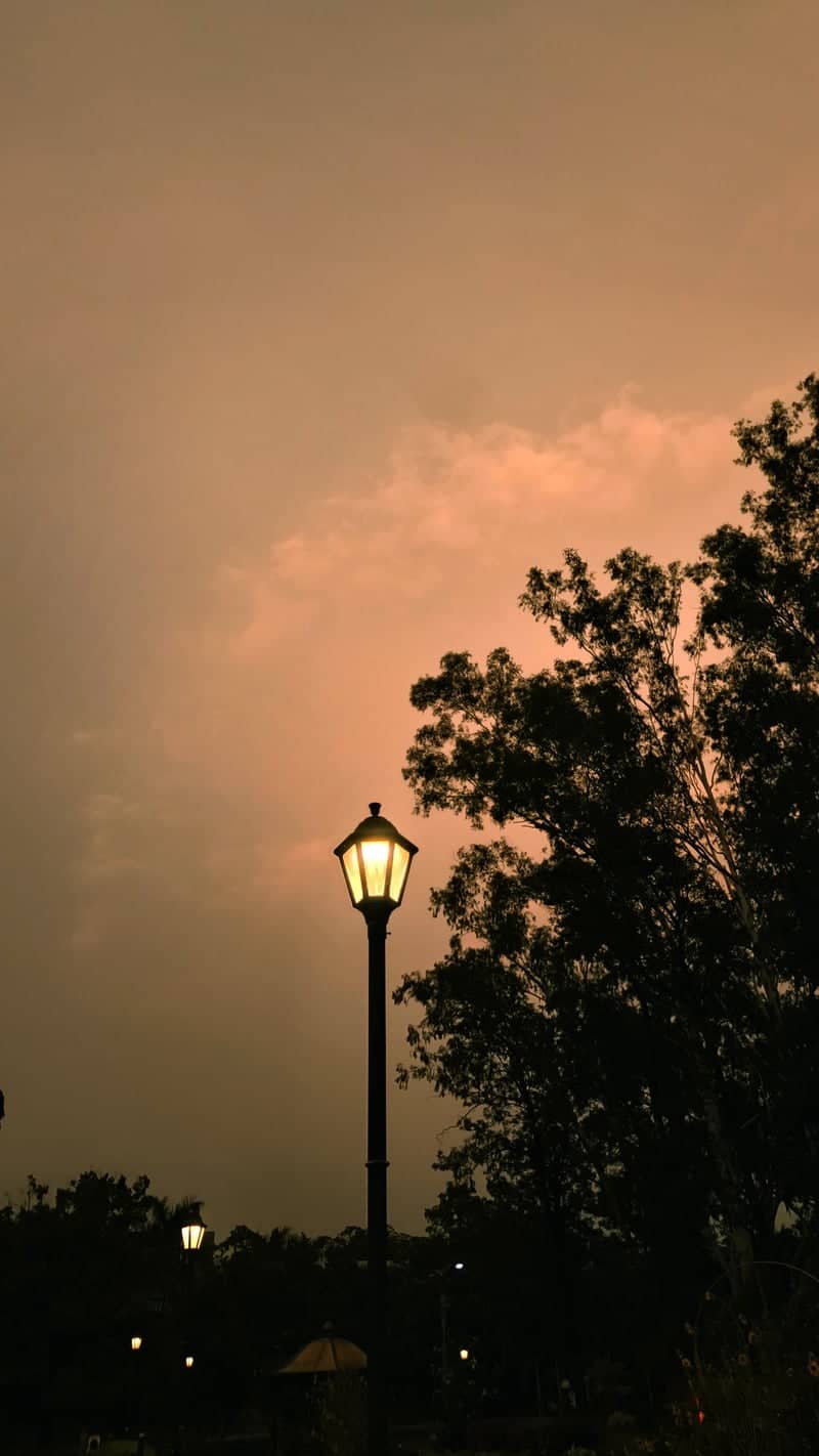 Dhurwa Park Twilight - Image 1