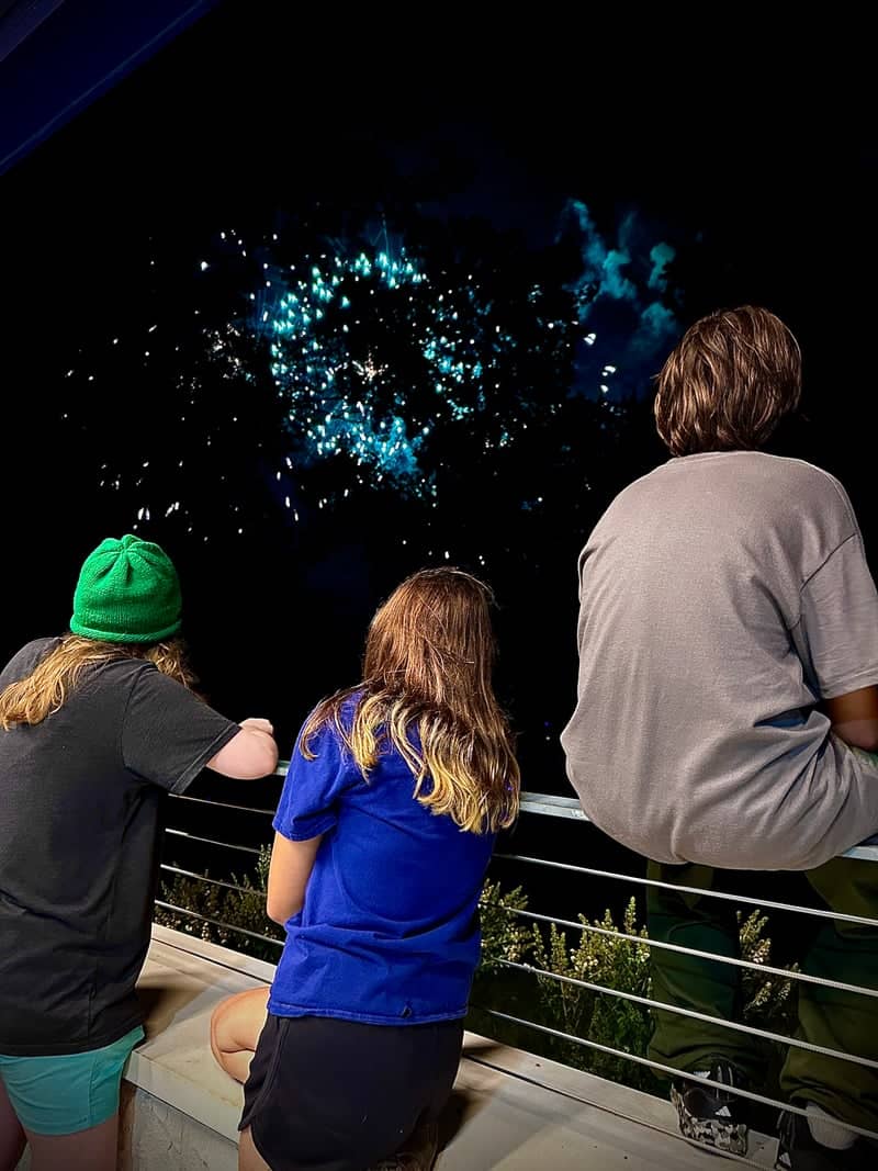 Turkeyfoot Lake Fireworks Overlook - Image 1