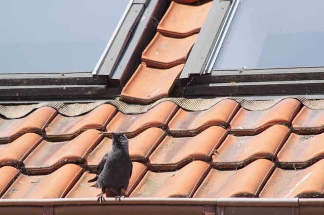 Traditional Rooftops of Hel - Image 1