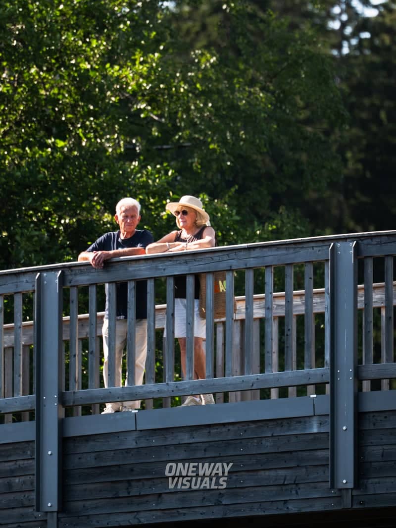 Fichtelsee Lake Bridge - Image 1