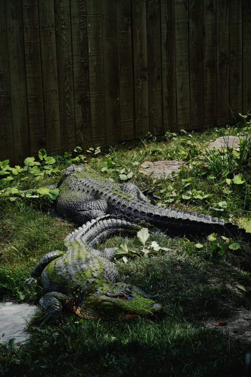 Granby Zoo - Image 1
