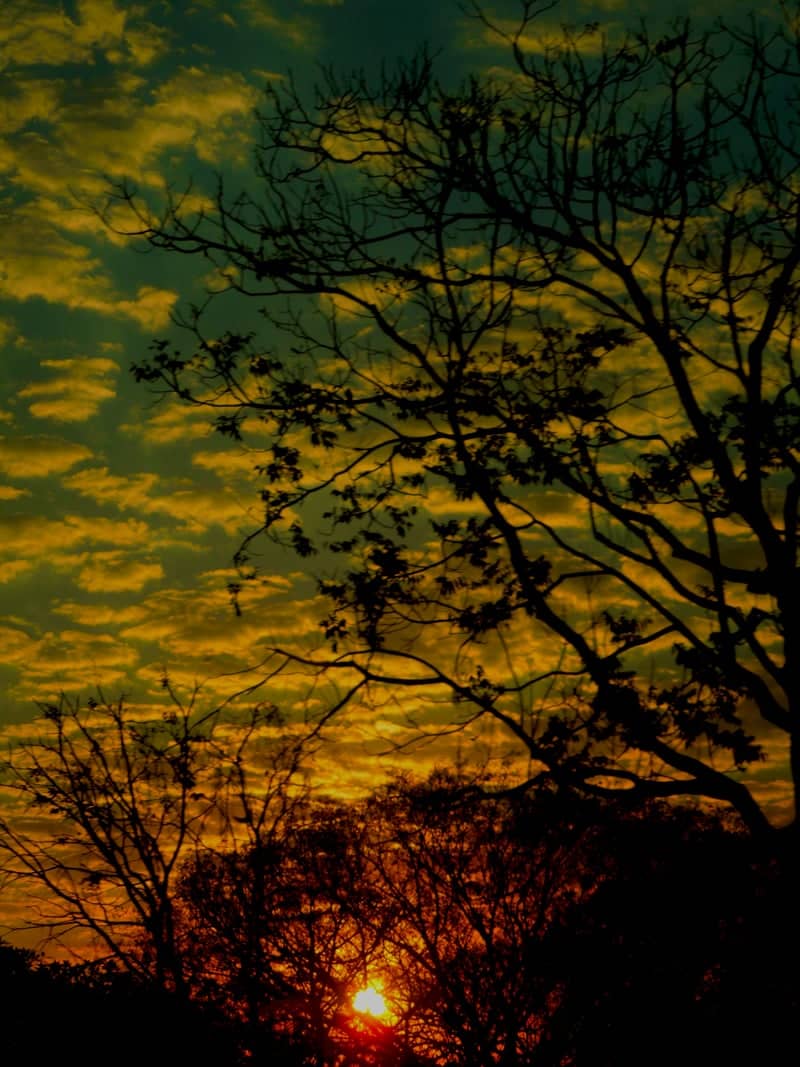 Cuiabá Sunset Silhouette - Image 1