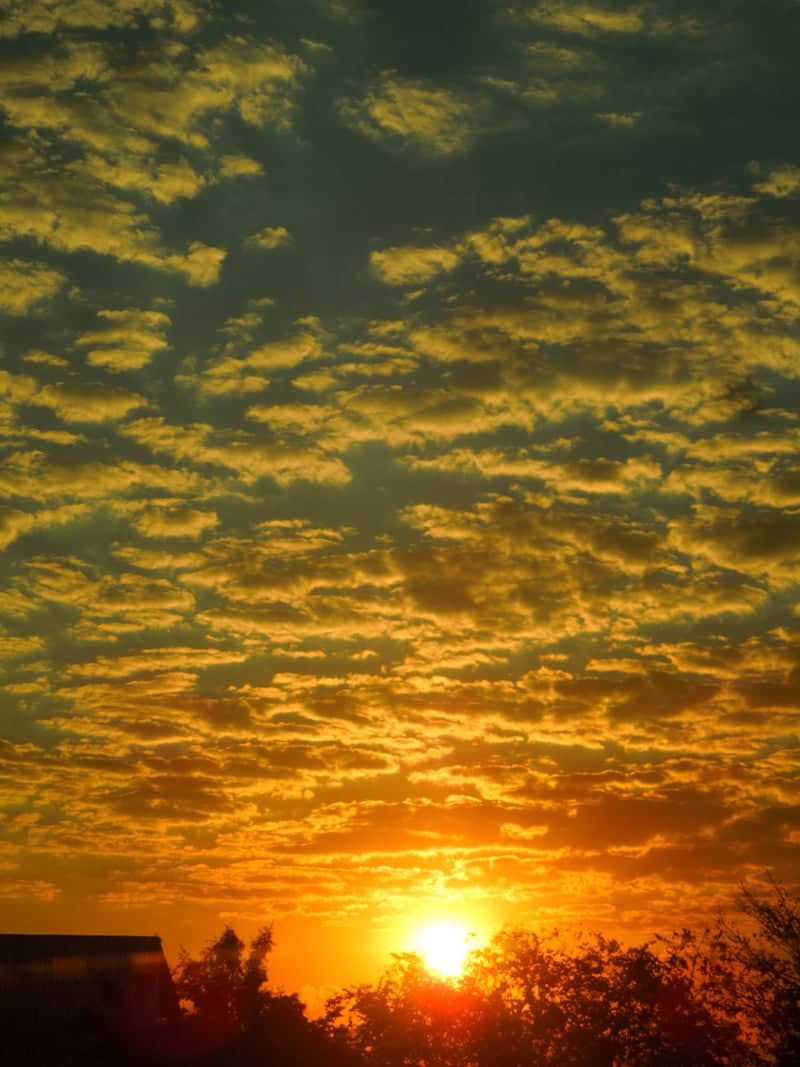 Cuiabá Sunset Silhouette - Image 2