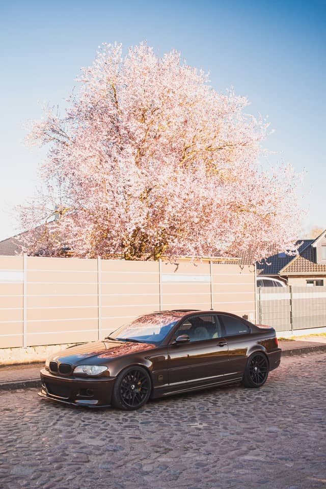 Cherry Blossom Cobblestone Street - Image 1