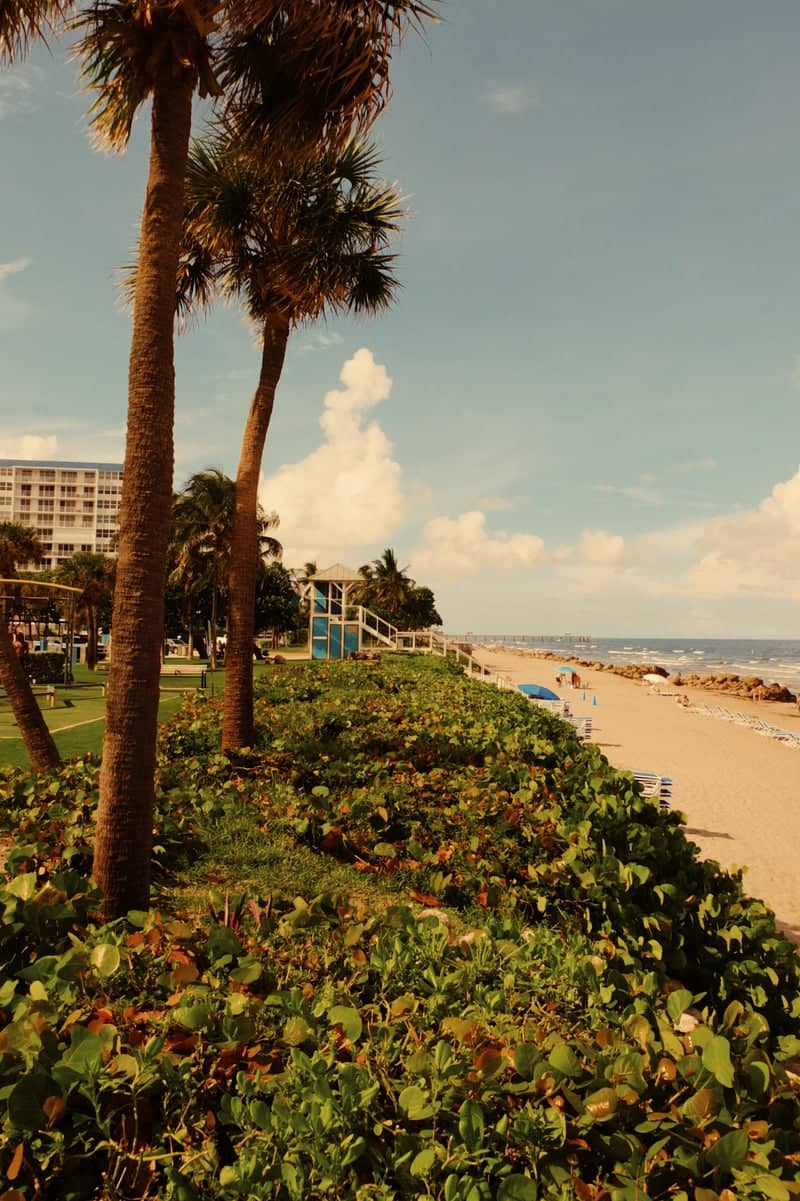 Deerfield Beach - Image 1