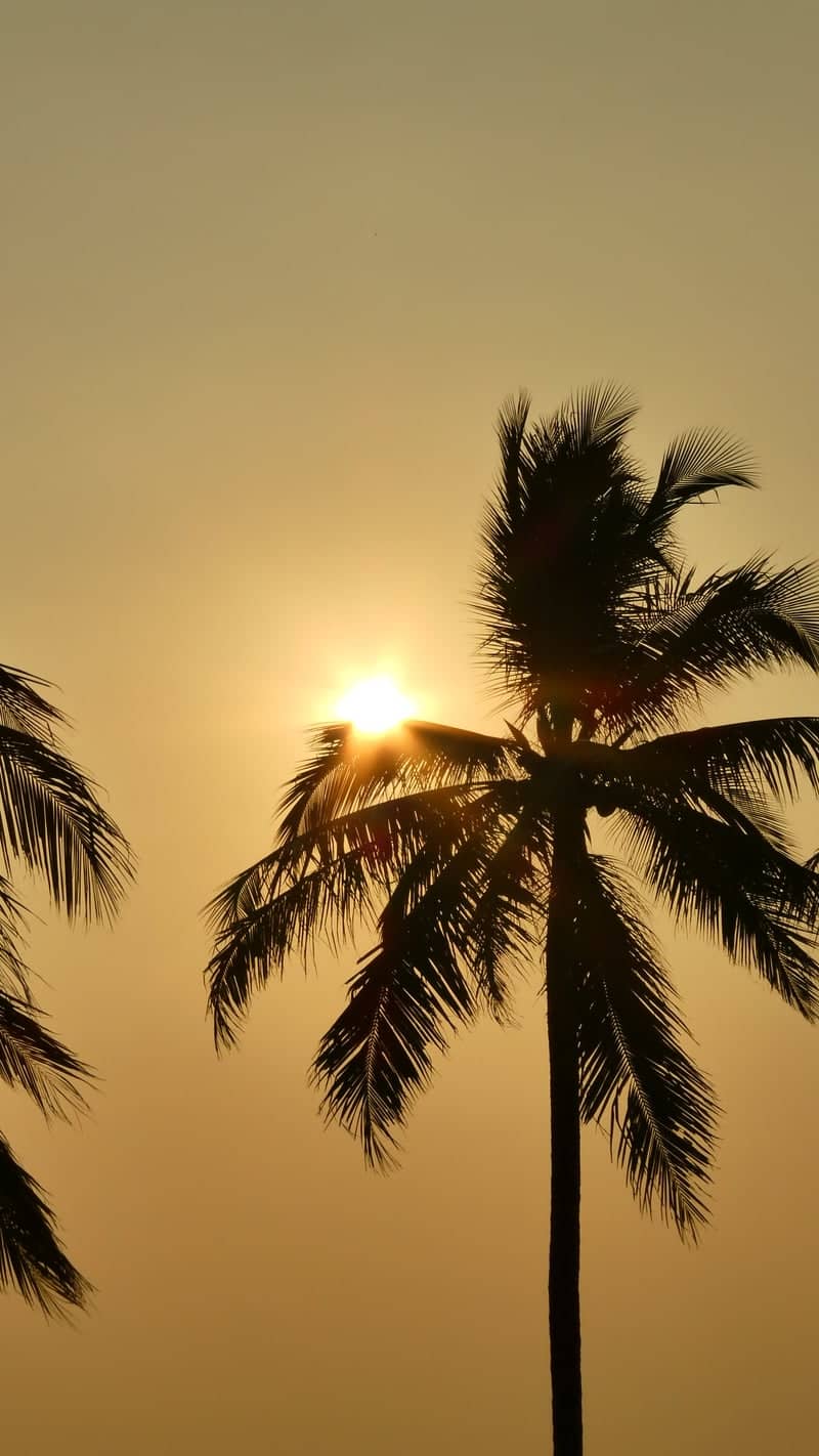 Anyer Beach Sunset - Image 1