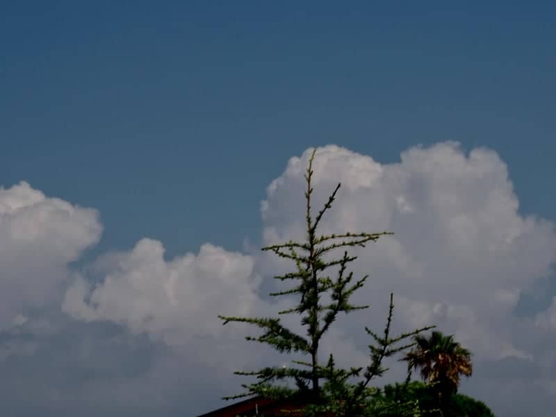 Rosignano Solvay Garden View - Image 1