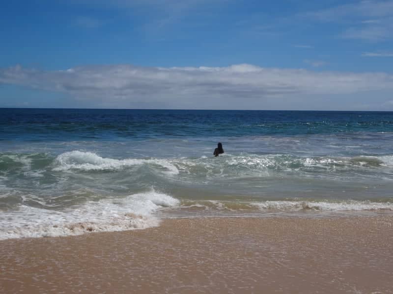 Kekaha Beach - Image 1