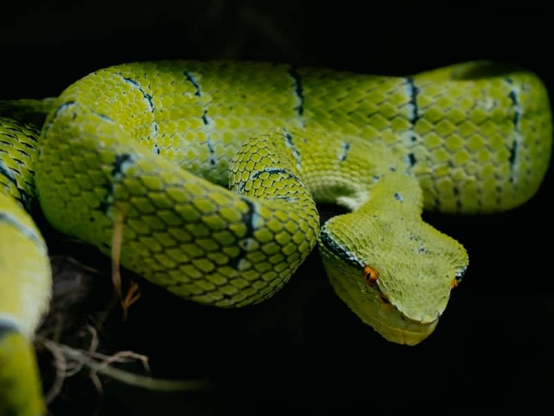 NFEFI Biodiversity Conservation Center - Image 1