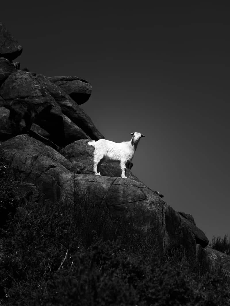 Monte Galiñeiro - Image 1