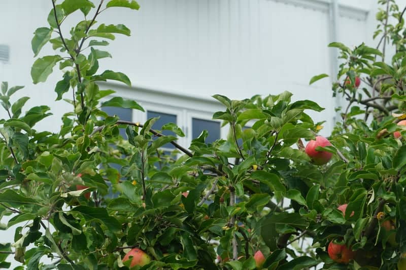 Horten Residential Garden - Image 1