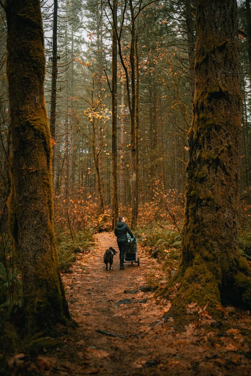 Seal Bay Nature Park - Image 1