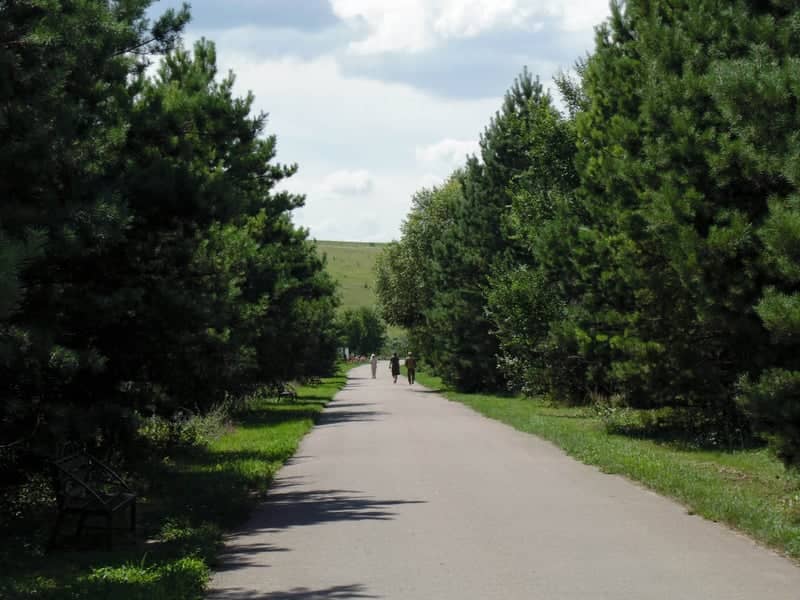 Belgorod State University Botanical Garden - Image 1