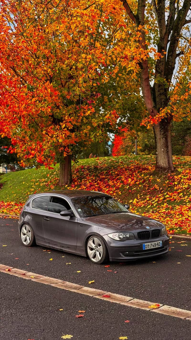 Avenue Mac Orlan Autumn Foliage - Image 1
