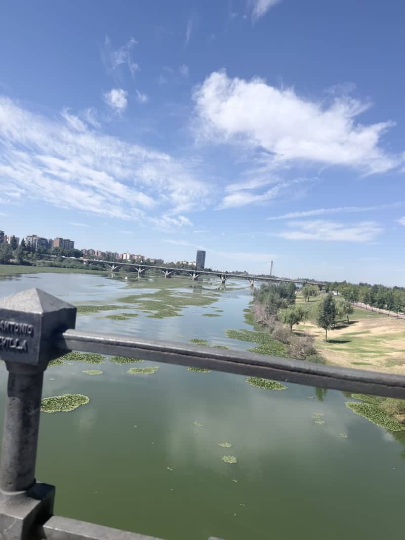 Puente de Palmas Overlook - Image 1
