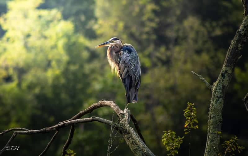 Cuyahoga Valley National Park - Image 1