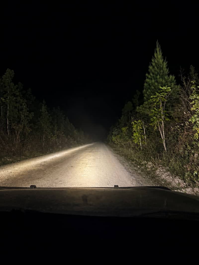 Black Mountain Road, Kuranda - Image 1