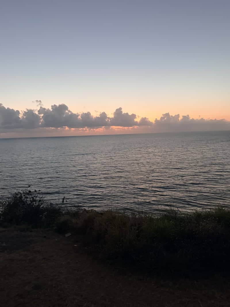 Rex Lookout - Image 1