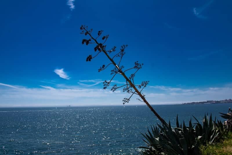 Estoril Coastal Promenade - Image 1
