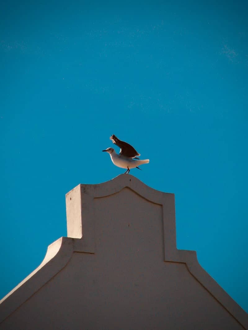 Cape Dutch Gable in Hermanus - Image 1