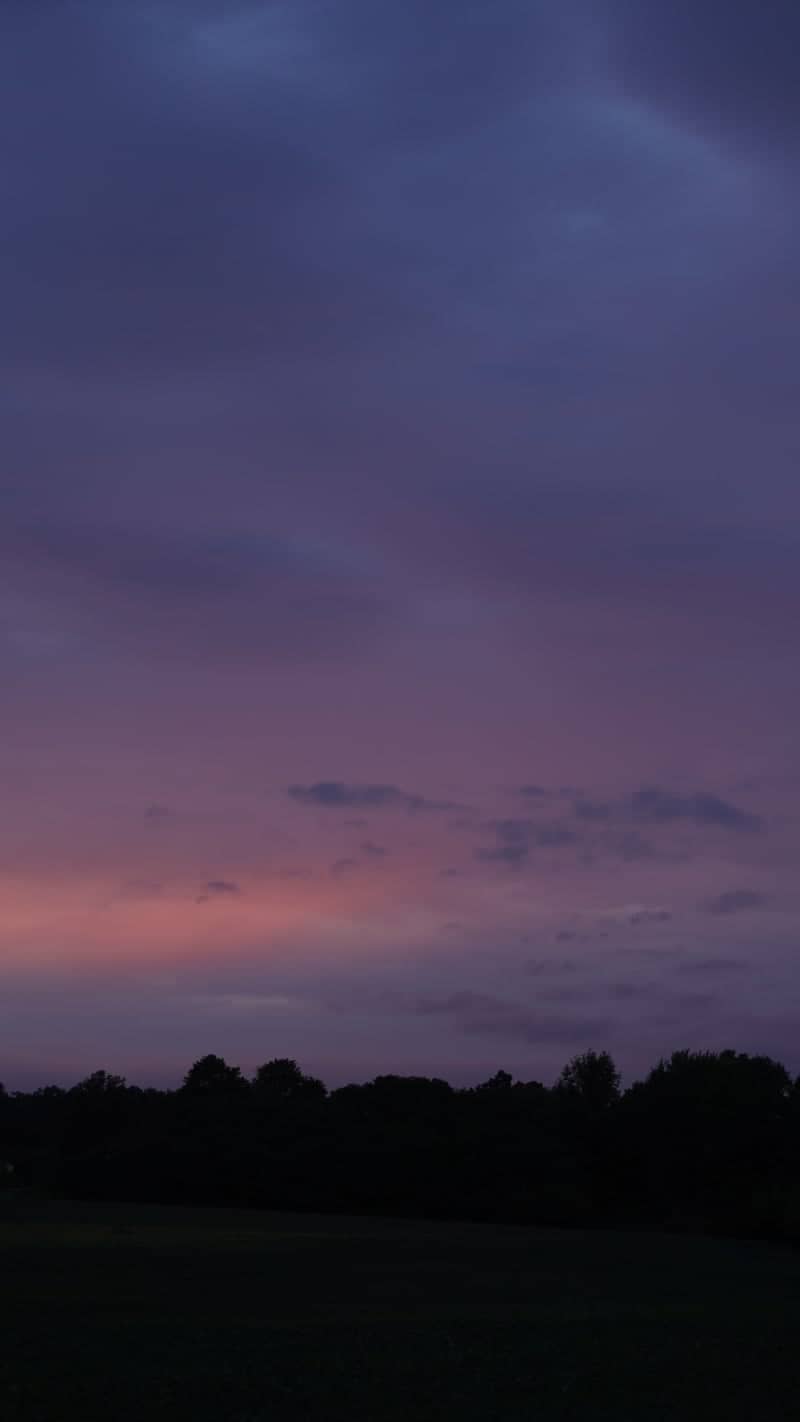 South Highland Sunset Field - Image 1