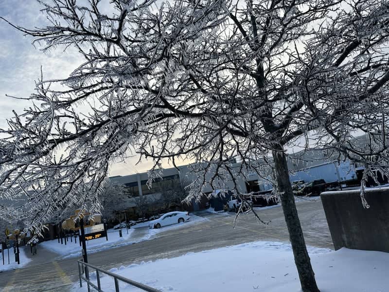 South Portland Ice Storm Scene - Image 1