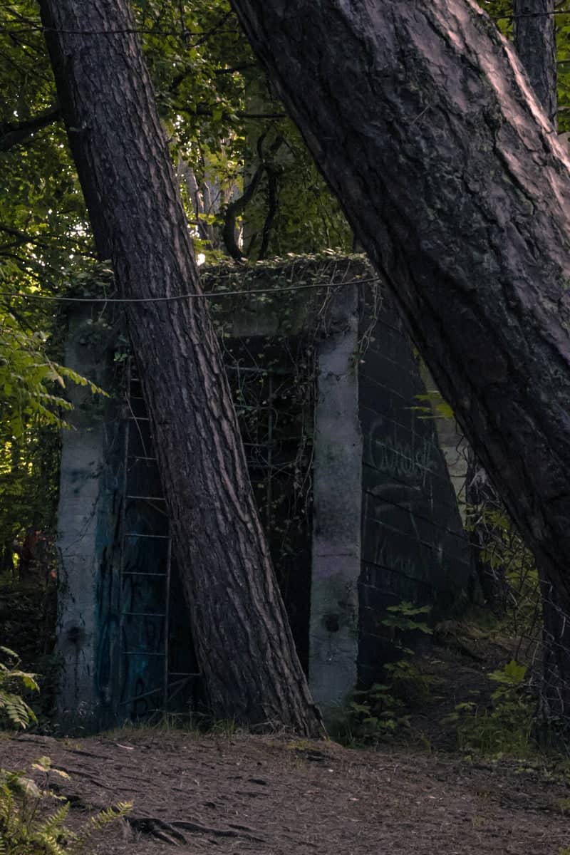 Hel Peninsula Military Bunkers - Image 1