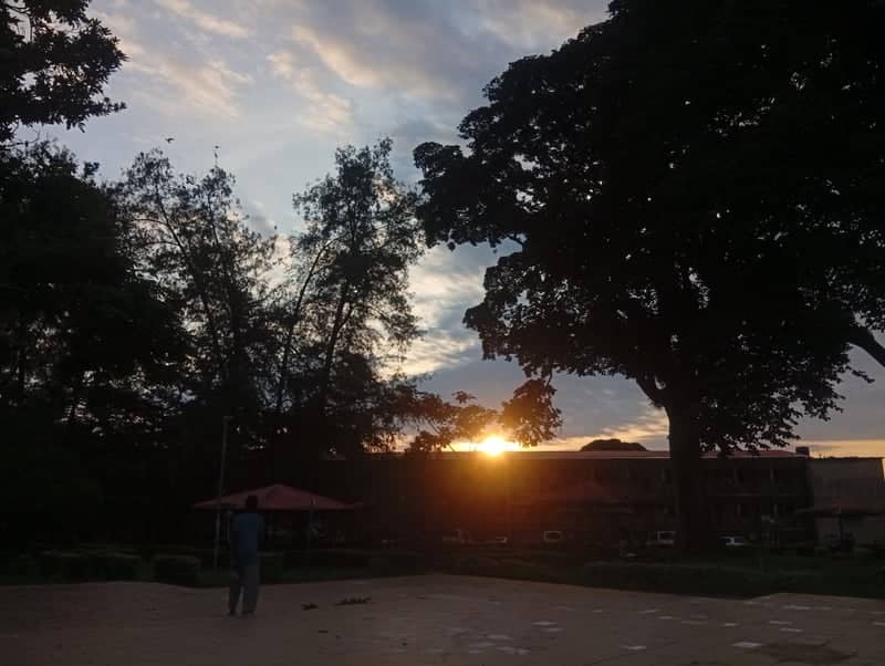University of Ibadan Campus - Image 1