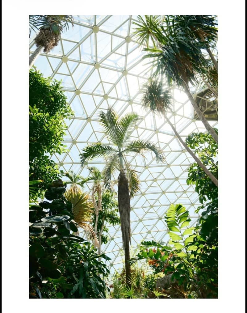 Climatron at Missouri Botanical Garden - Image 1