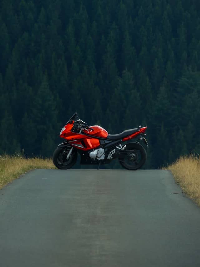 Sauerland Forest Road - Image 2