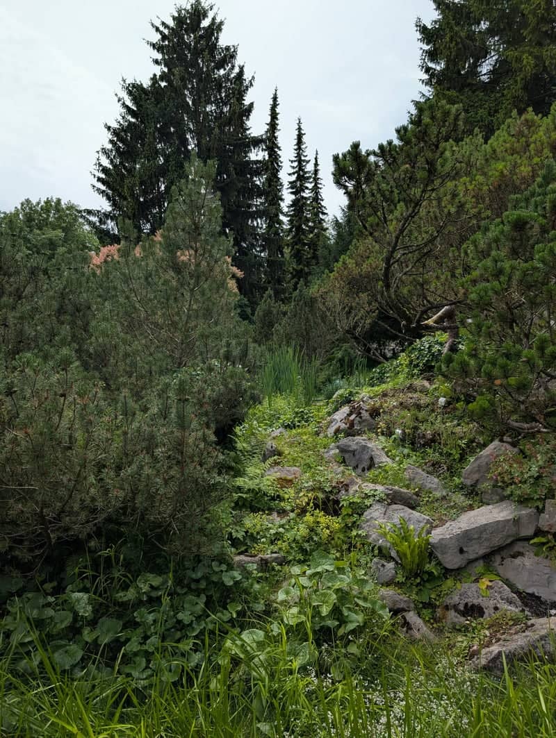 Ljubljana Botanical Garden Rockery - Image 1