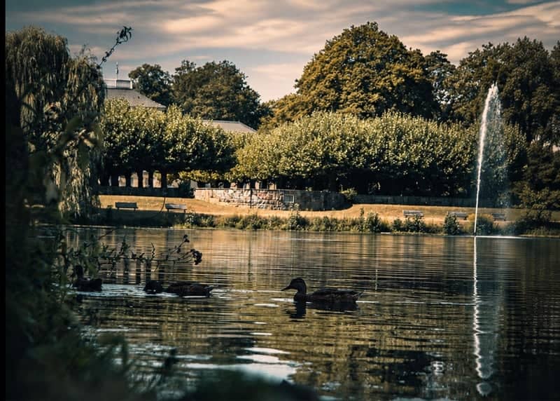 Greiffenhorstpark Pond - Image 1