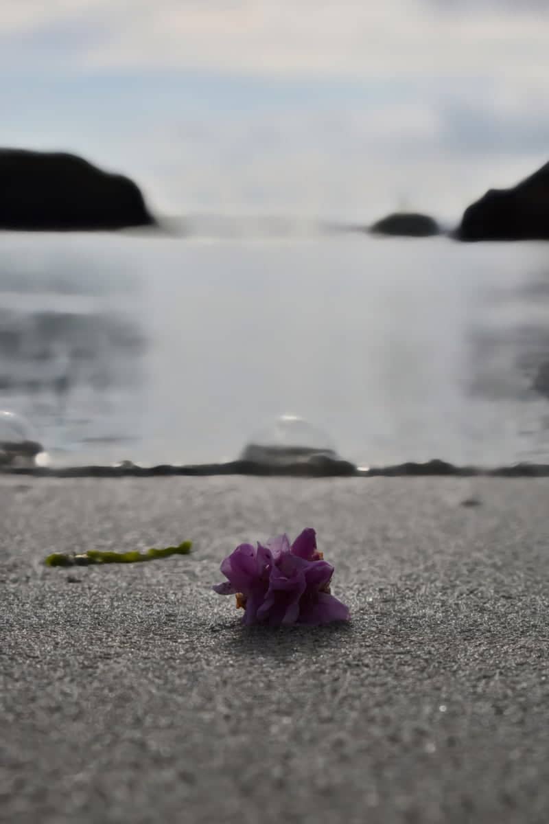 Annagary Coastal Beach - Image 1