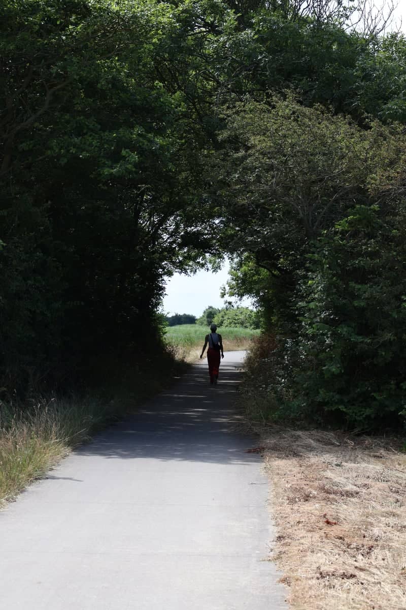 Meyertebos Forest Path - Image 1