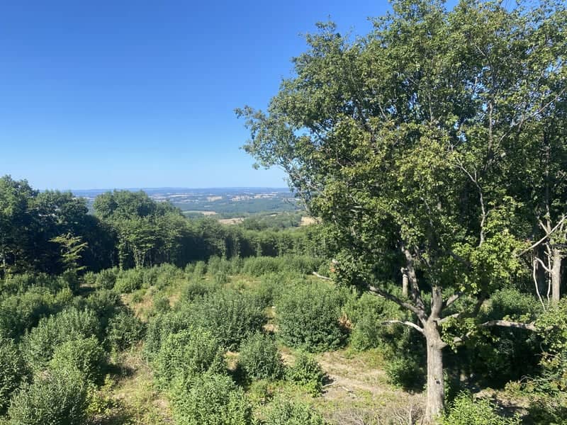 Puy-de-Bar Overlook - Image 1