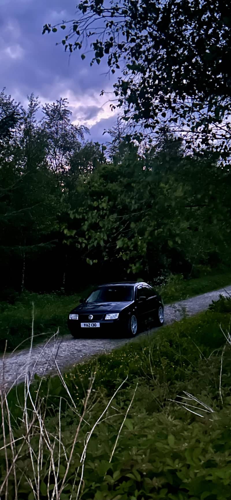 Cookbury Forest Track - Image 3