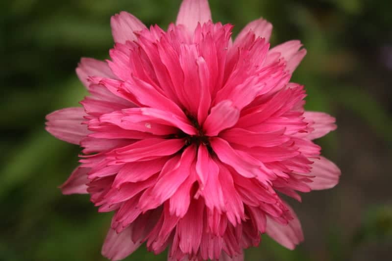Gardens of Slot Zeist - Image 1