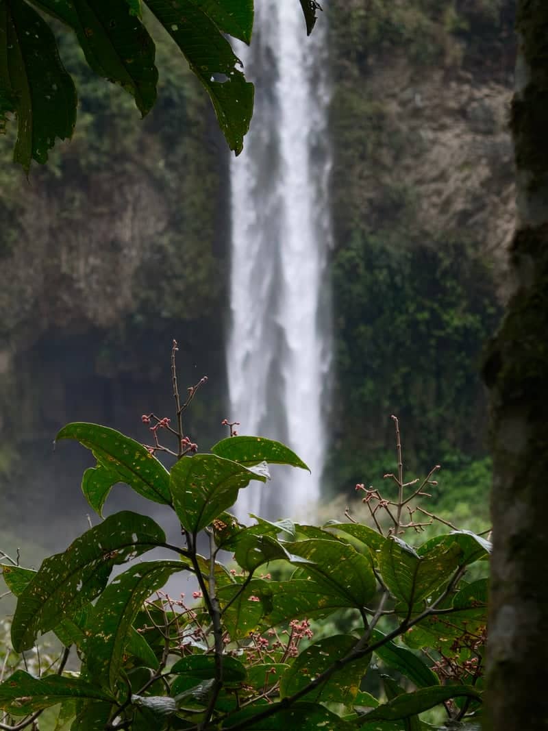 Manto de la Novia Waterfall - Image 1
