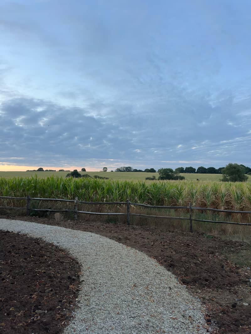 Somerset Countryside Overlook - Image 1