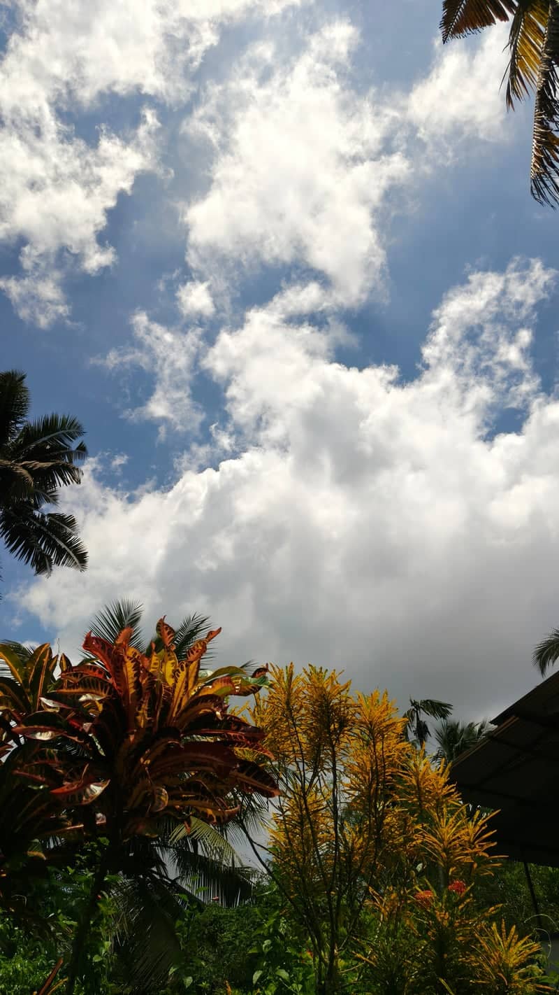 Kuttanad Tropical Gardens - Image 1