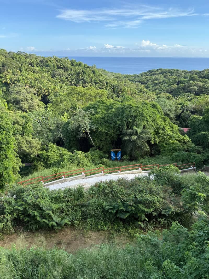 Roatán Tropical Hillside Viewpoint - Image 1