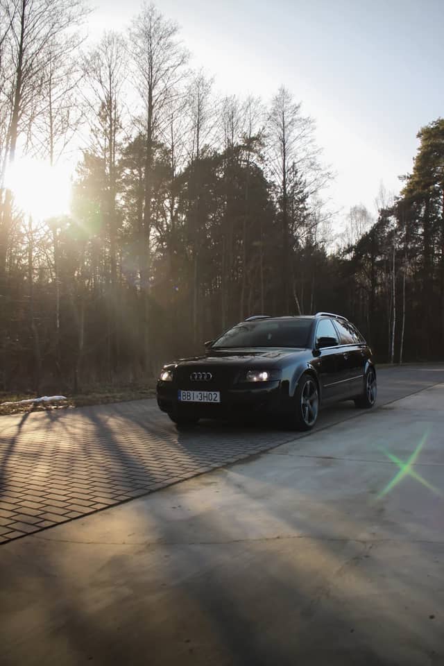 Forest Road in Popławy - Image 1