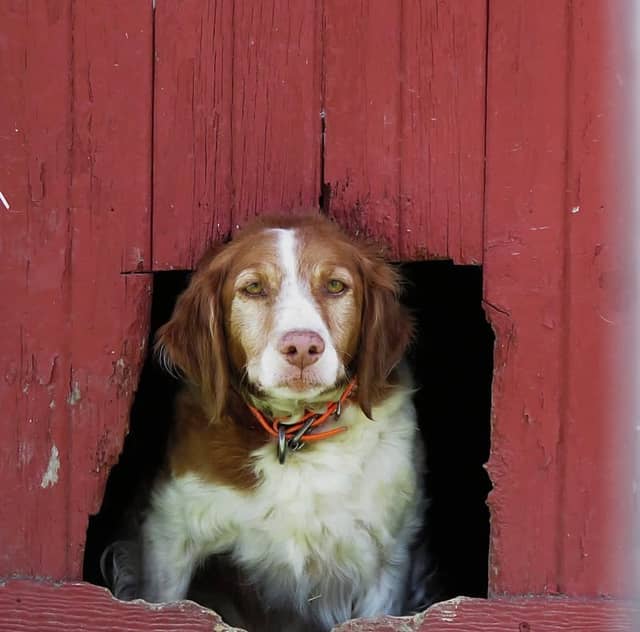 Cedar Vale Rustic Barn - Image 1