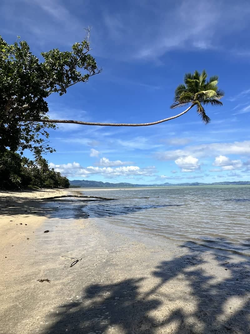 Savusavu Bay Coastline - Image 1