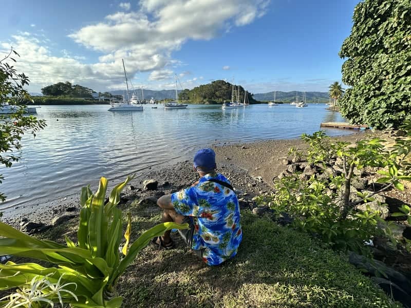 Savusavu Bay Waterfront - Image 1