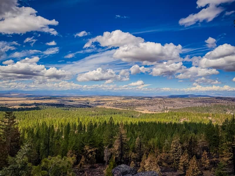 Ochoco National Forest Overlook - Image 1